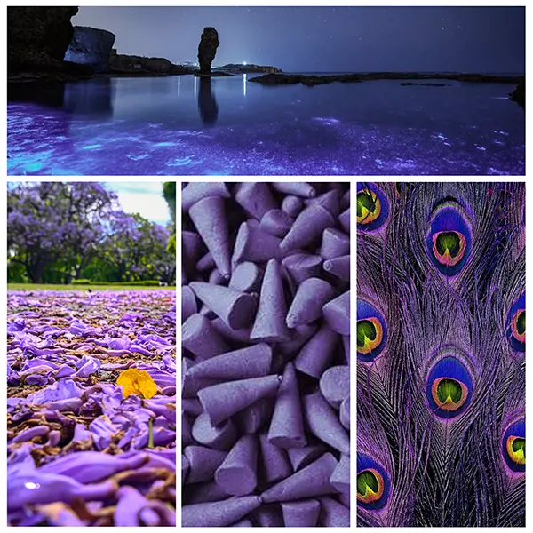 Violetas<br />(misterio, espiritualidad)